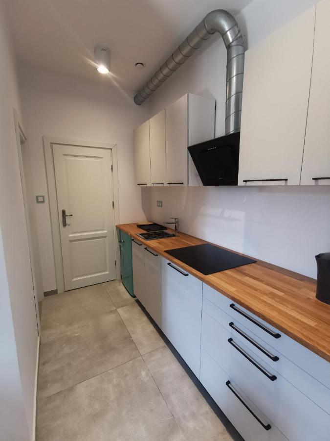 Nowe Apartamenty Zamkowa Vis A Vis Wawelu Krasków Exteriör bild